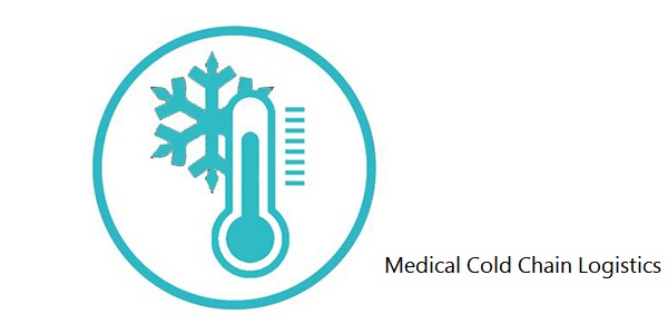 Punti chiave della logistica della catena del freddo medico